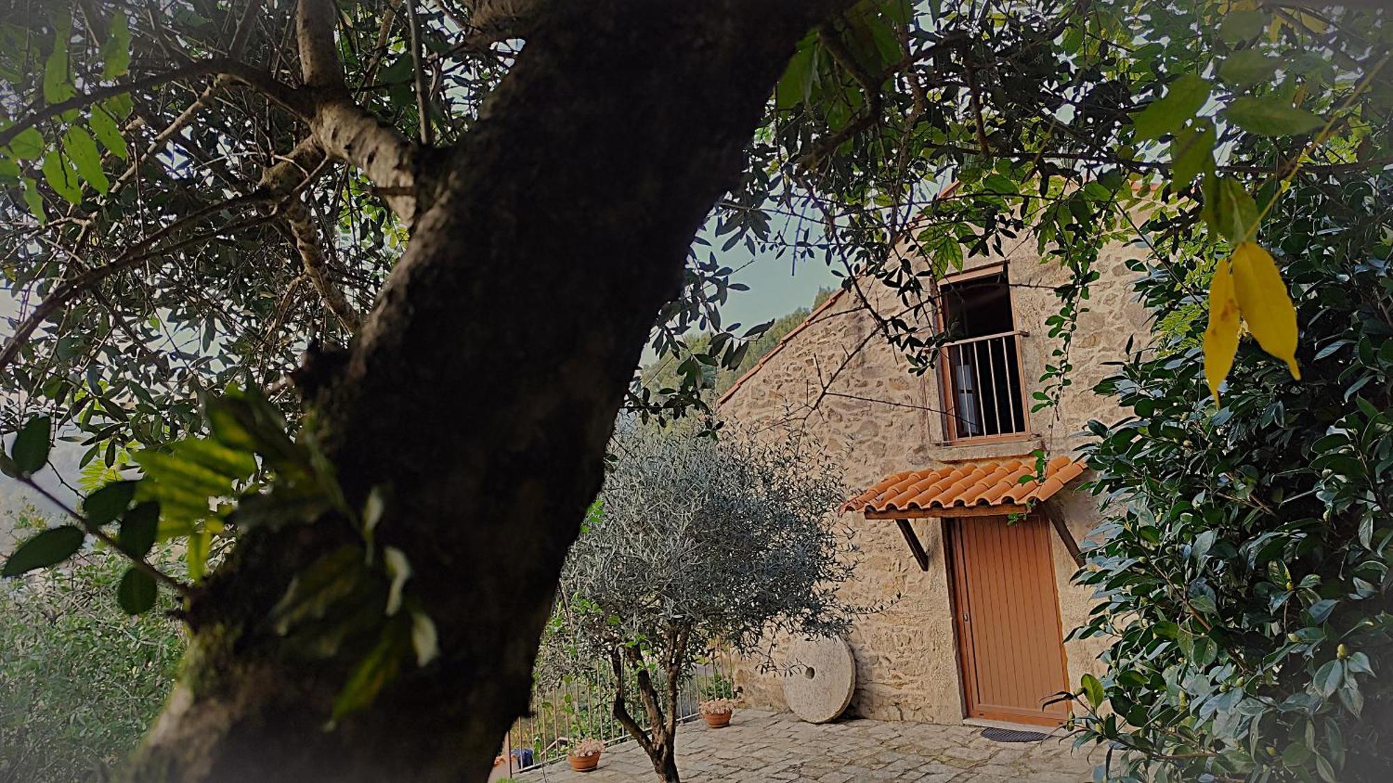Quinta Da Costeira Villa Sever do Vouga Luaran gambar