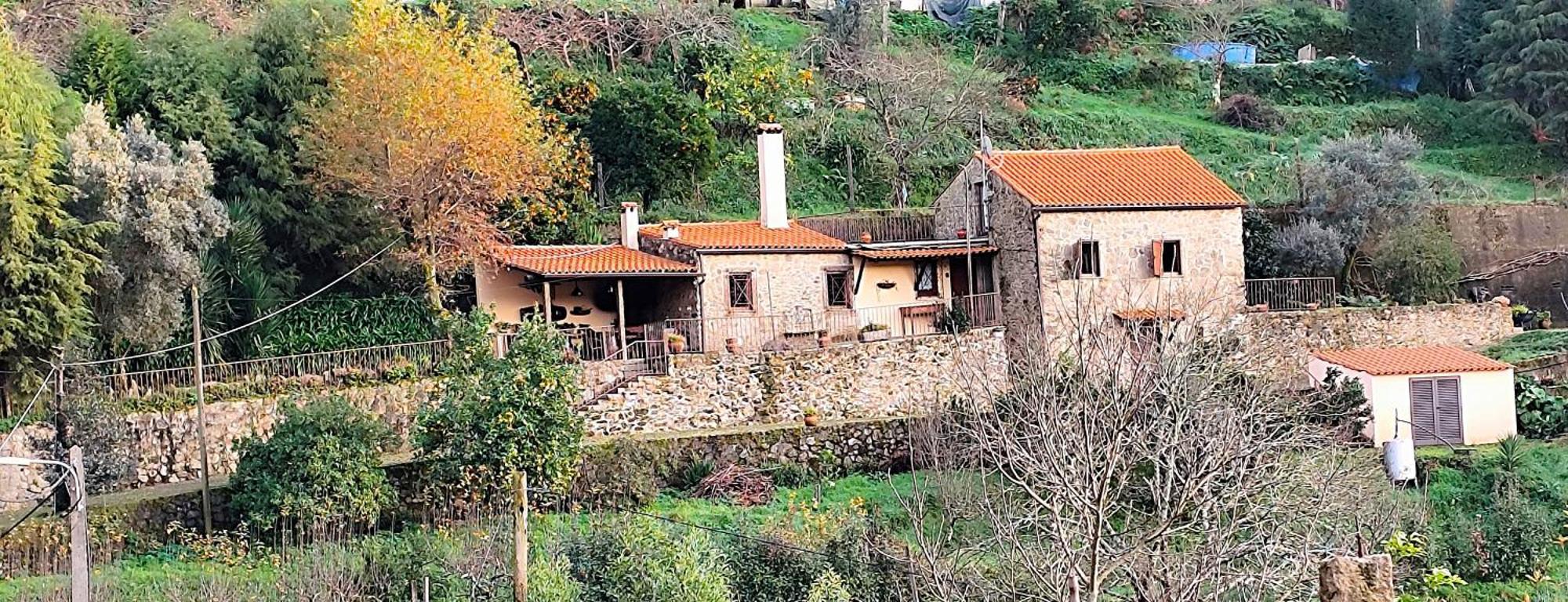 Quinta Da Costeira Villa Sever do Vouga Luaran gambar