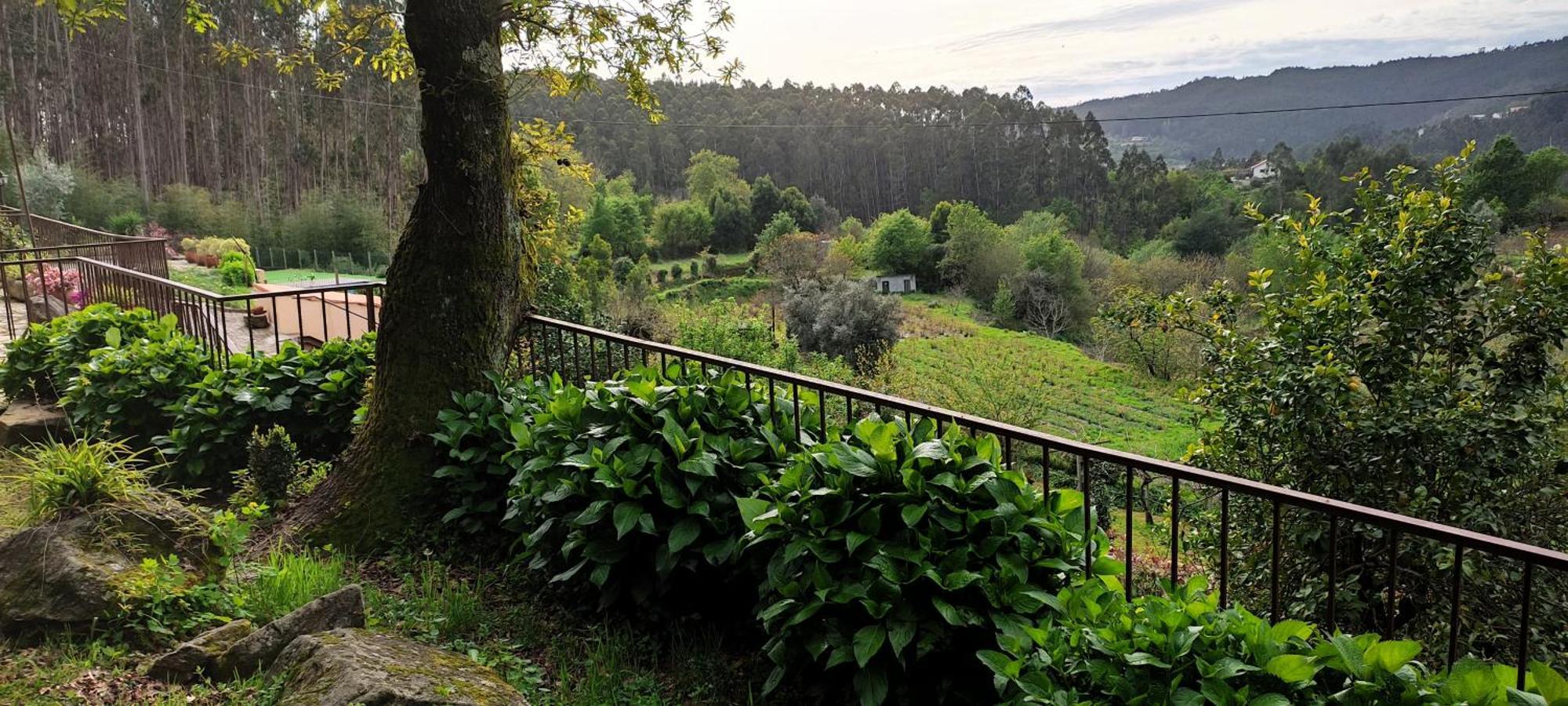 Quinta Da Costeira Villa Sever do Vouga Luaran gambar