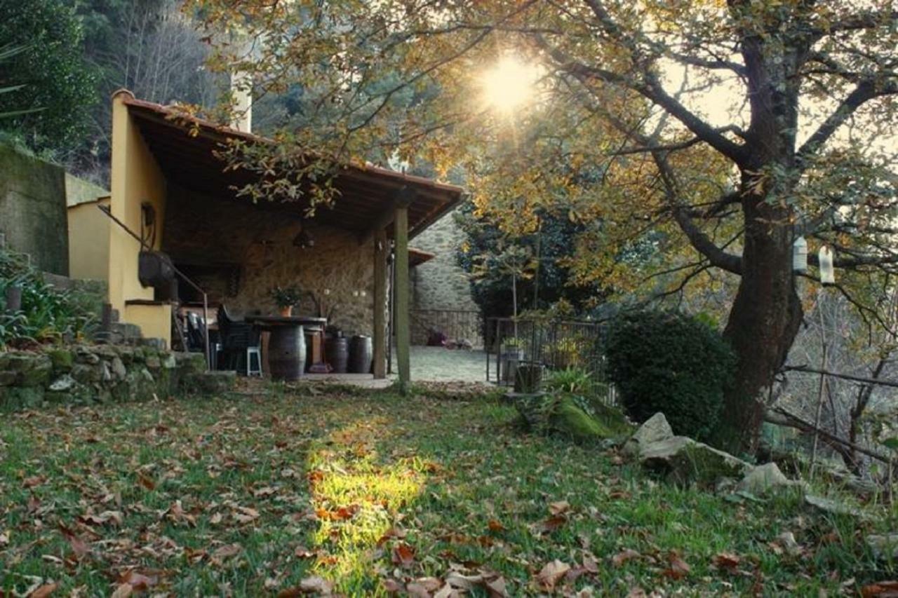 Quinta Da Costeira Villa Sever do Vouga Luaran gambar