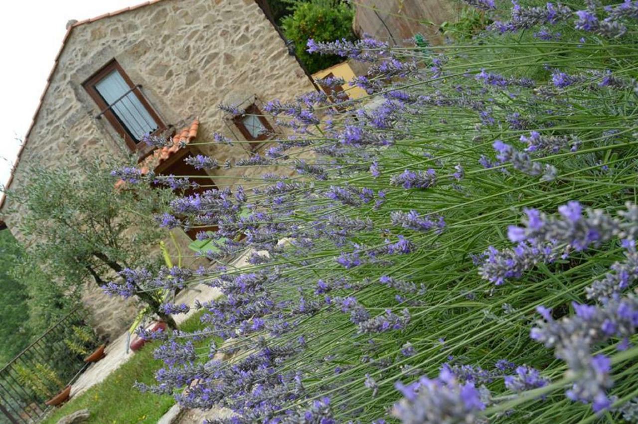 Quinta Da Costeira Villa Sever do Vouga Luaran gambar