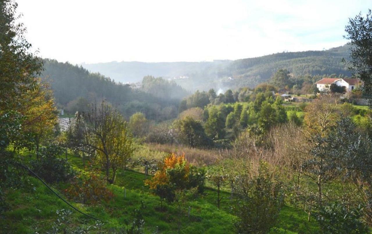 Quinta Da Costeira Villa Sever do Vouga Luaran gambar