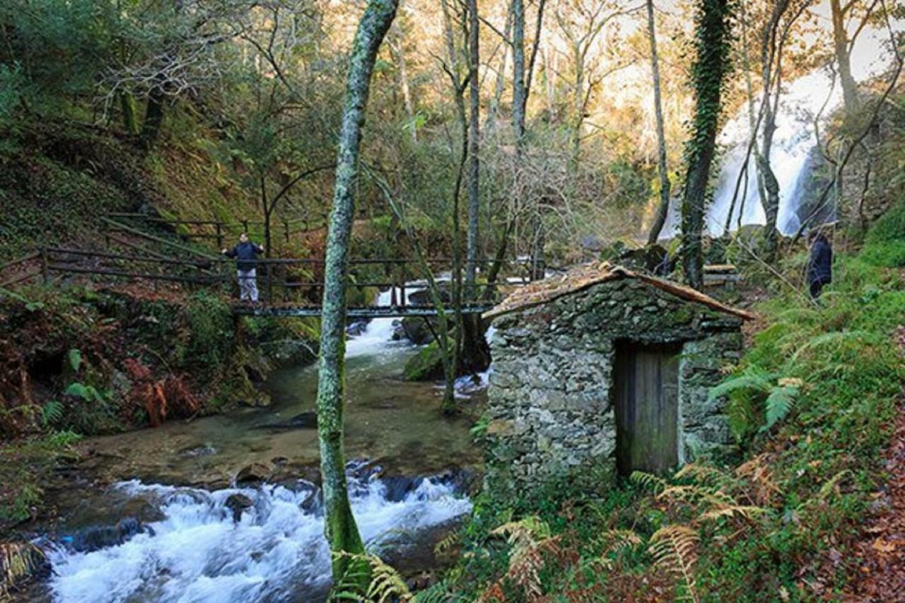 Quinta Da Costeira Villa Sever do Vouga Luaran gambar