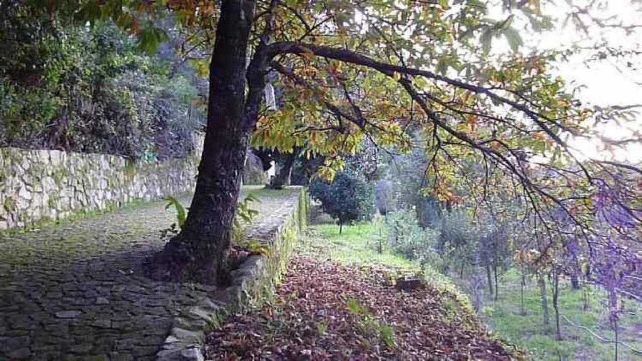 Quinta Da Costeira Villa Sever do Vouga Luaran gambar
