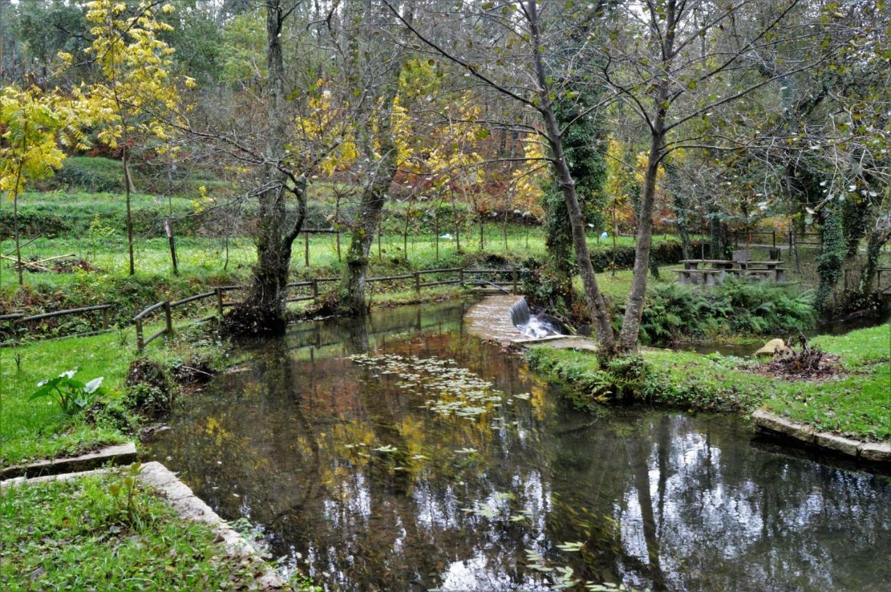 Quinta Da Costeira Villa Sever do Vouga Luaran gambar
