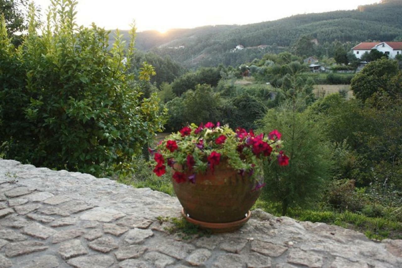 Quinta Da Costeira Villa Sever do Vouga Luaran gambar